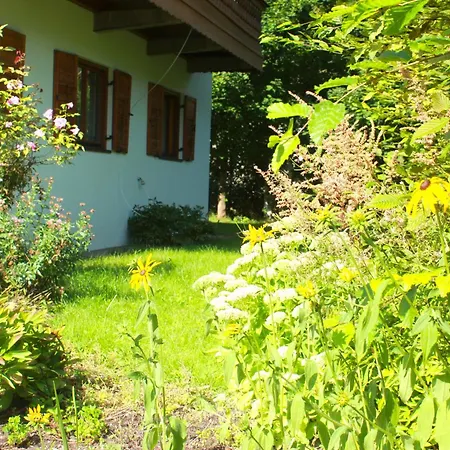 Griselda * Kitzbühel